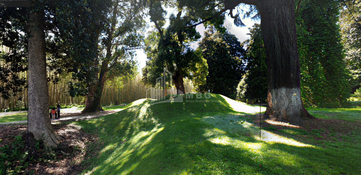 შეკვეთილი