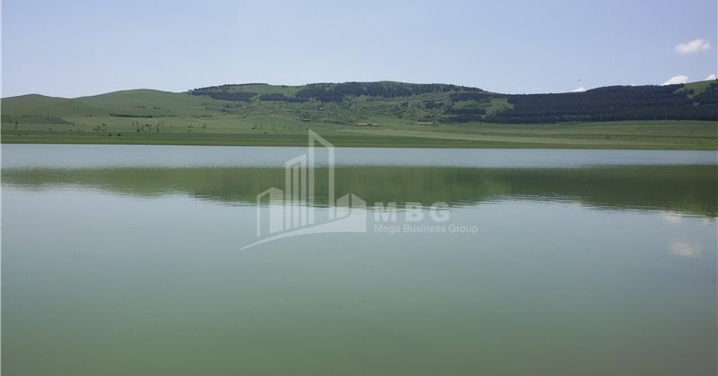 Gori district, Nadarbazevi lake.