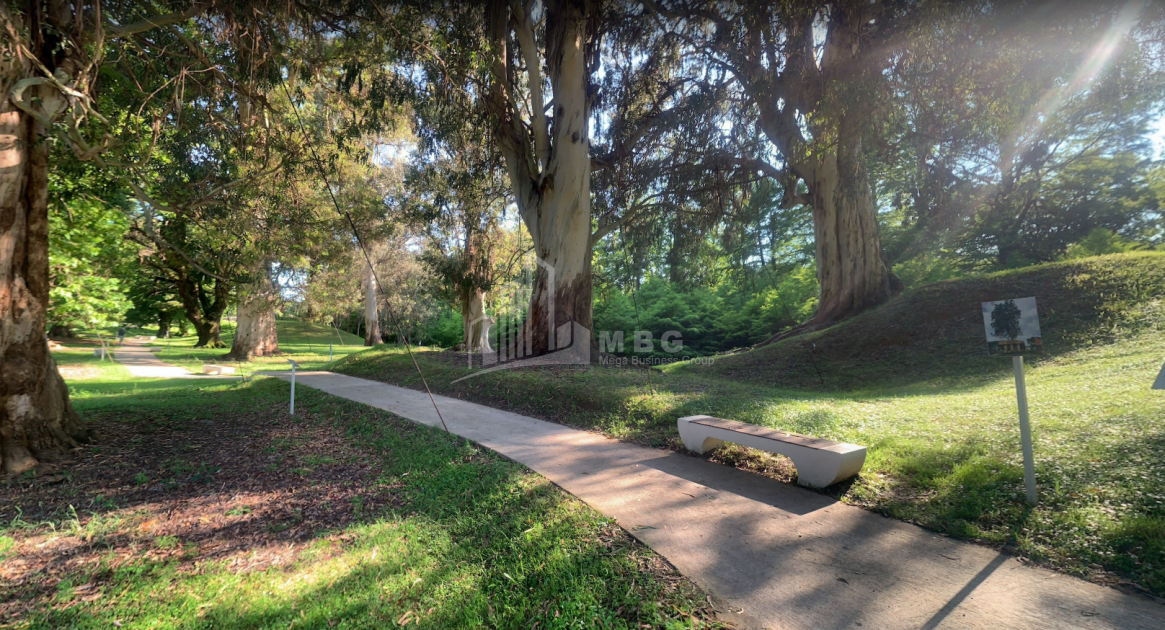 შეკვეთილი