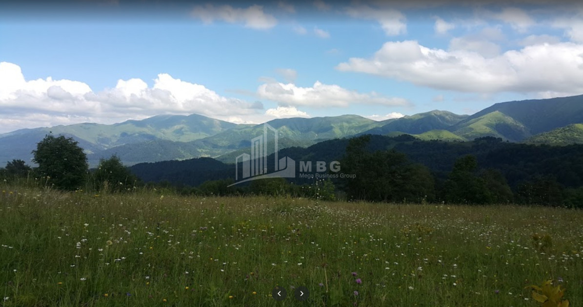 ბორჯომის რაიონი, სოფელი ციხისჯვარი