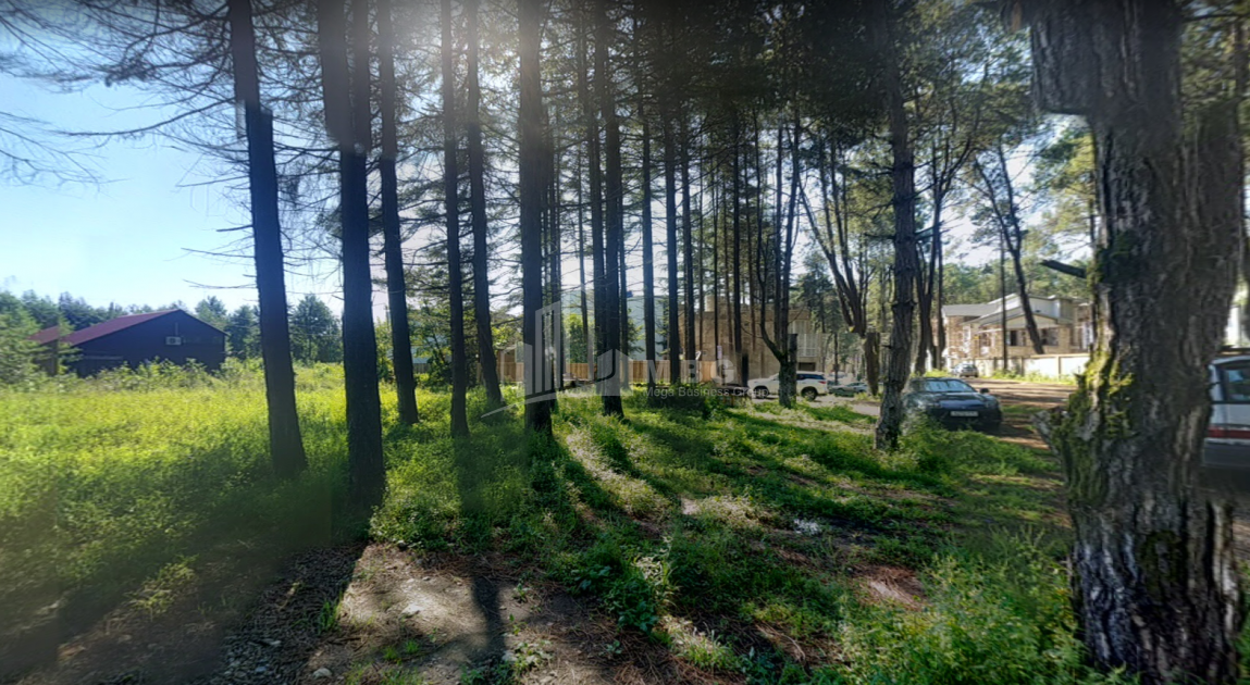 შეკვეთილი