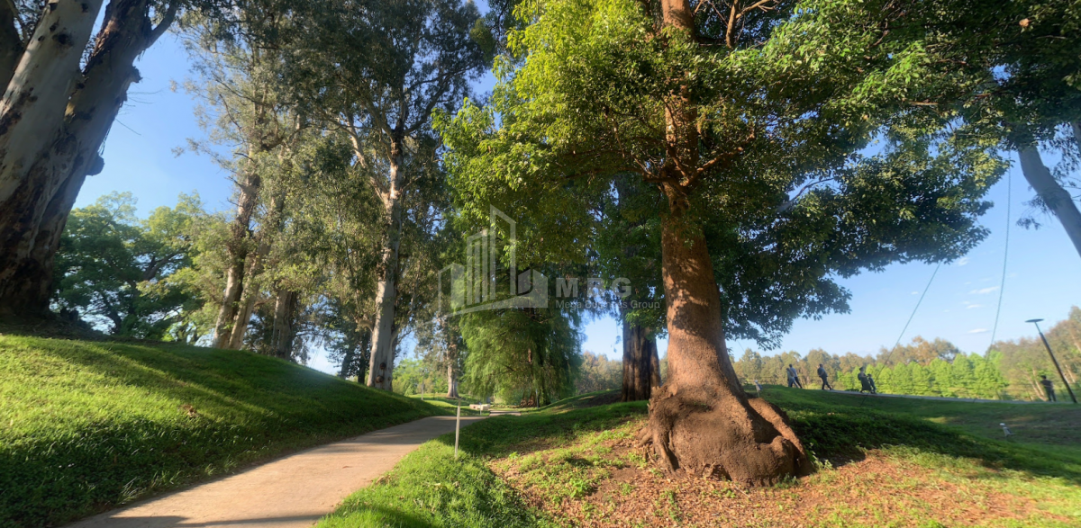 შეკვეთილი