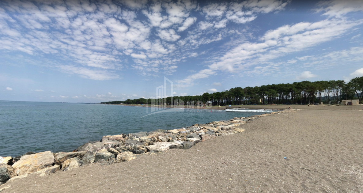 შეკვეთილი