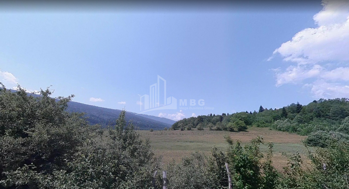 შაორის ტბა