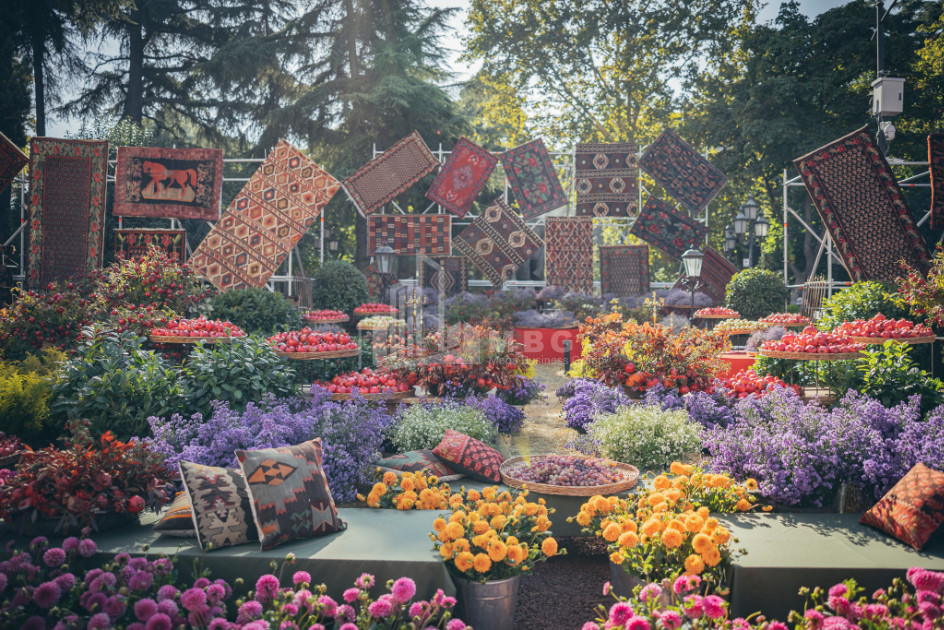 თბილისი