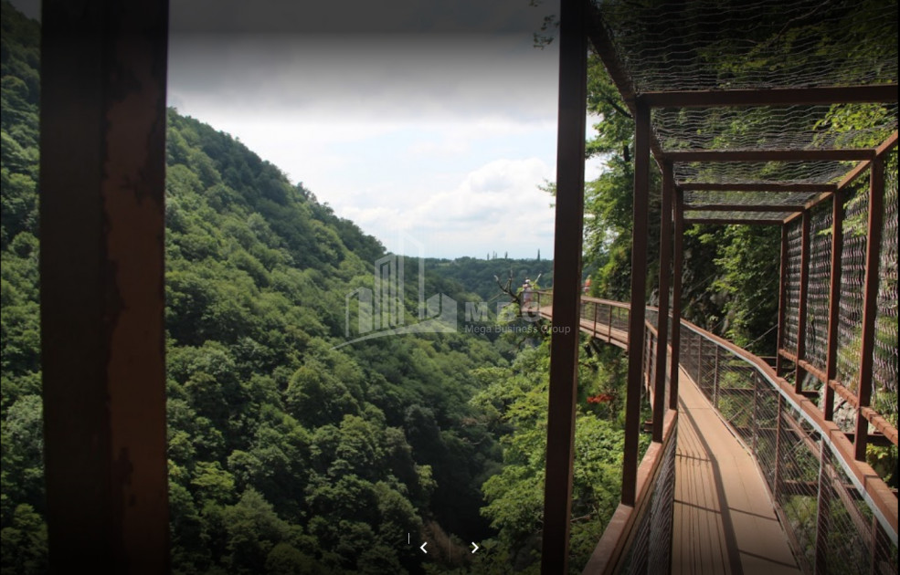 იმერეთი