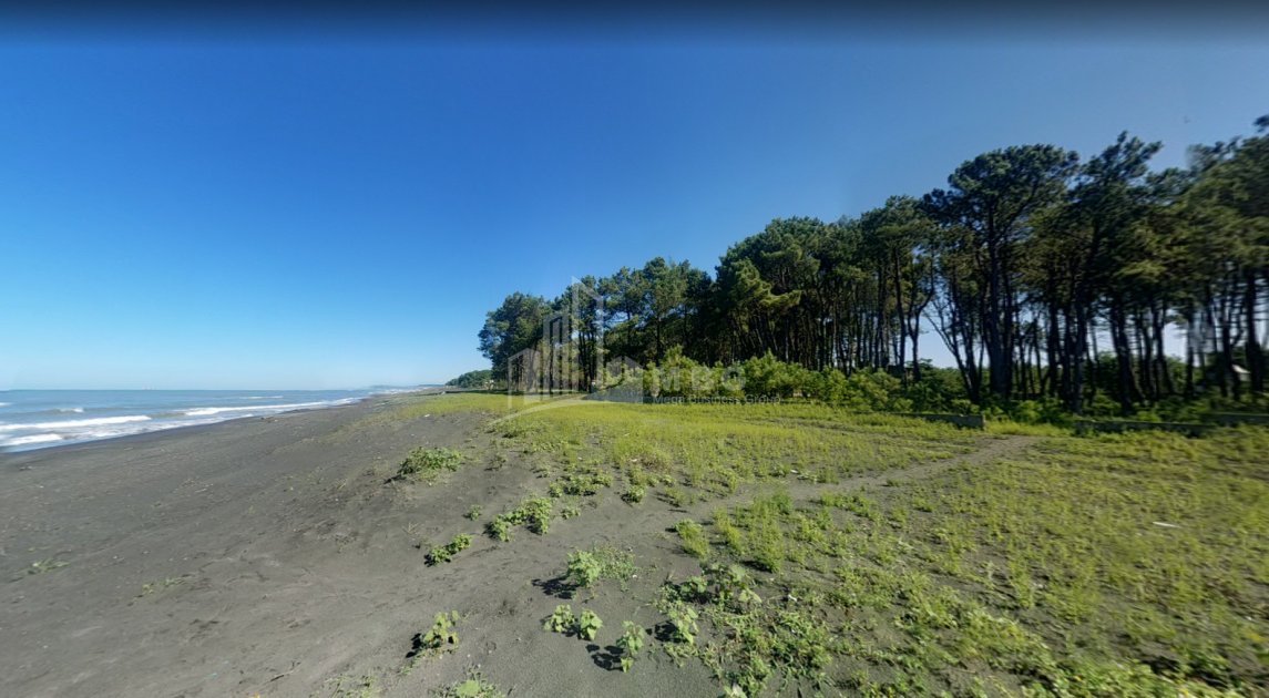 შეკვეთილი