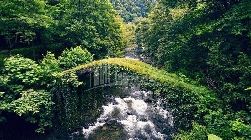 იმერეთი