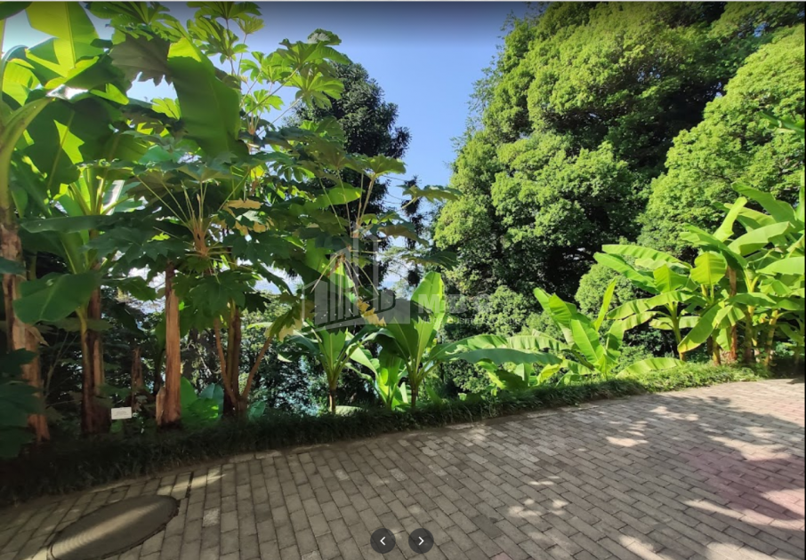 შეკვეთილი