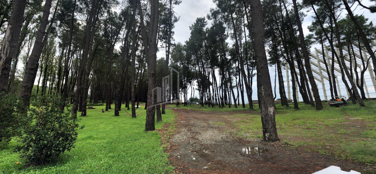 შეკვეთილი