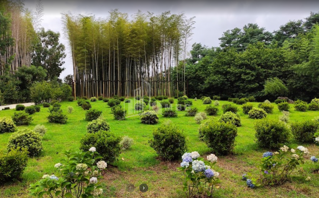 შეკვეთილი