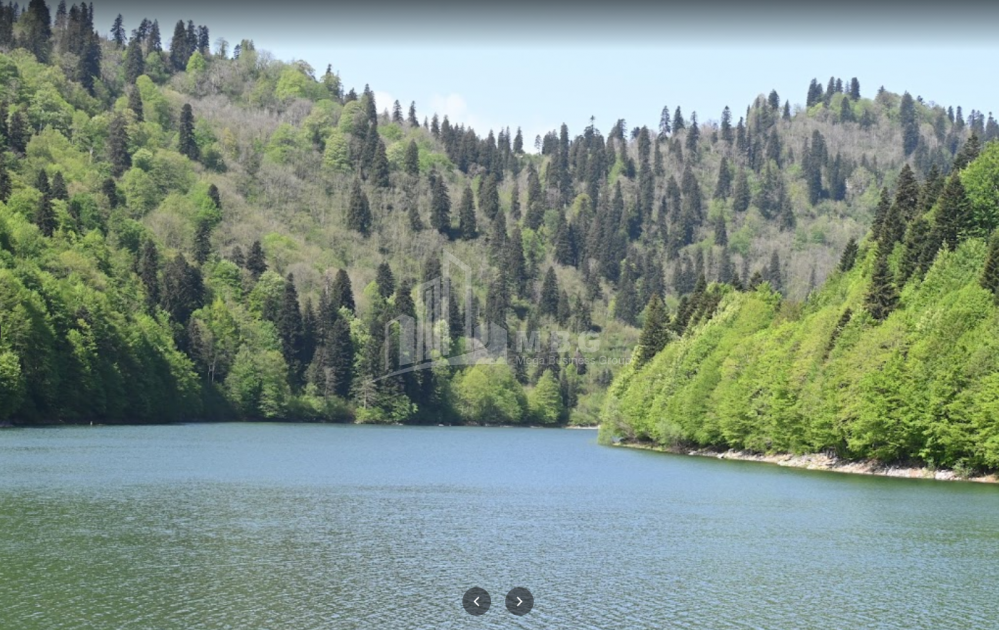 შაორის ტბა