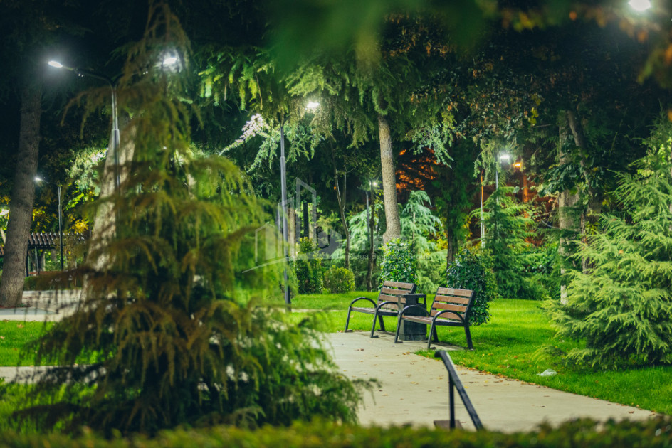 თბილისი