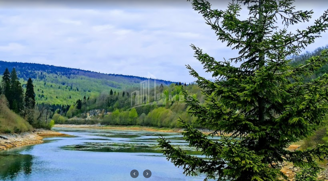 შაორის ტბა