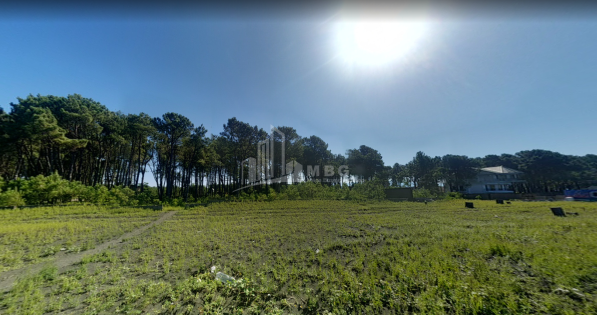 შეკვეთილი