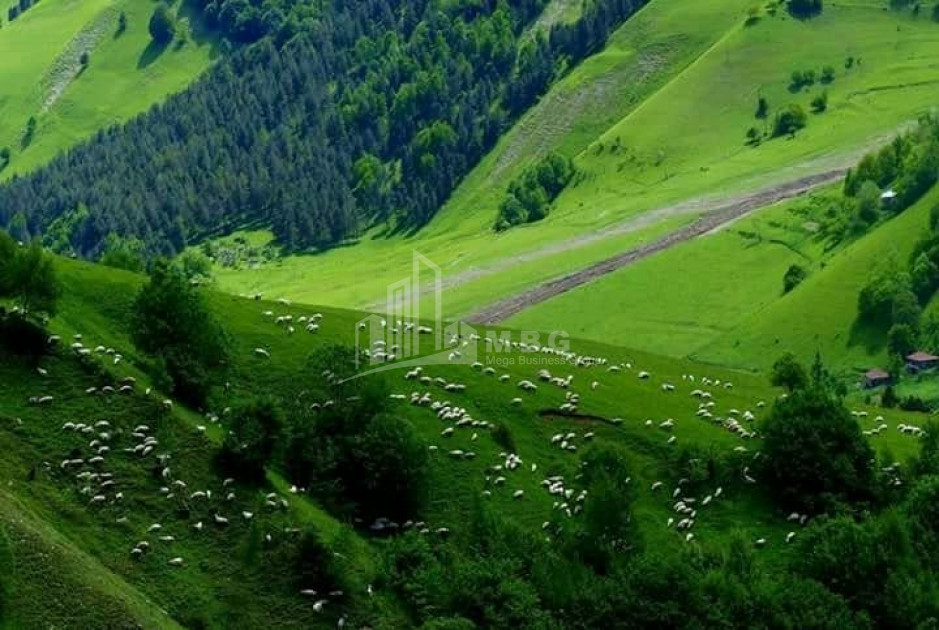 Mtskheta - Mtianeti