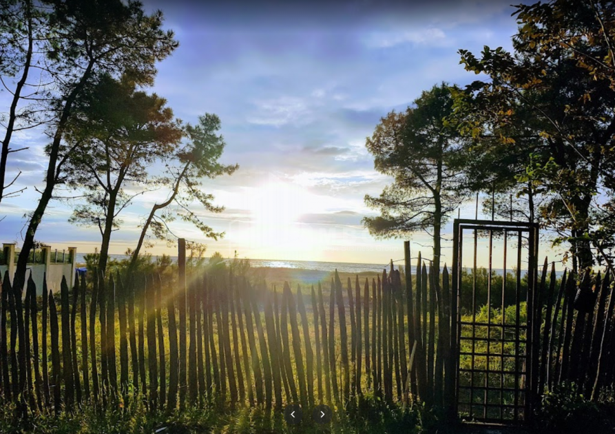 შეკვეთილი