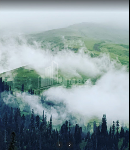 Гурии