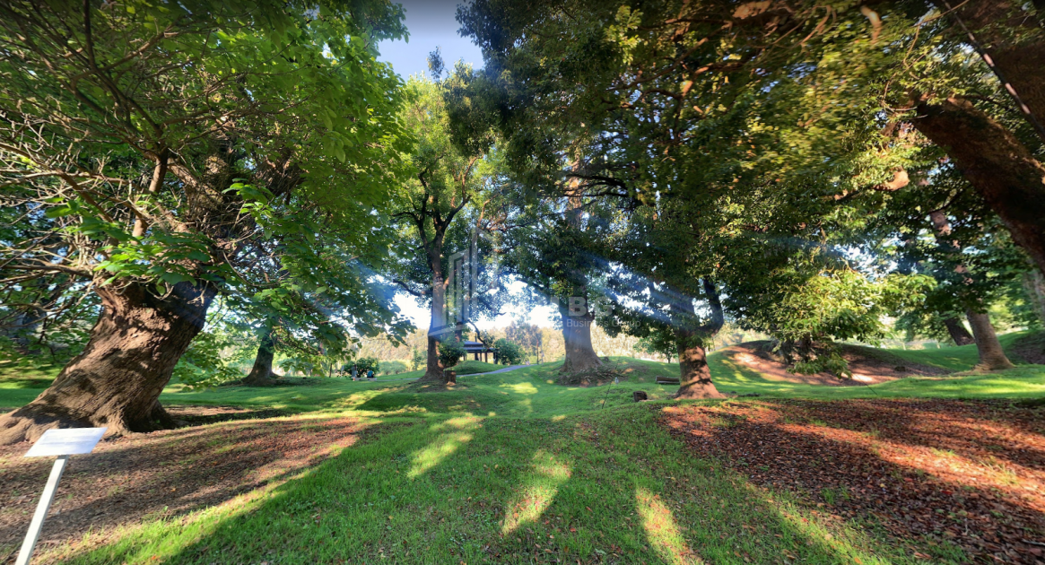 შეკვეთილი