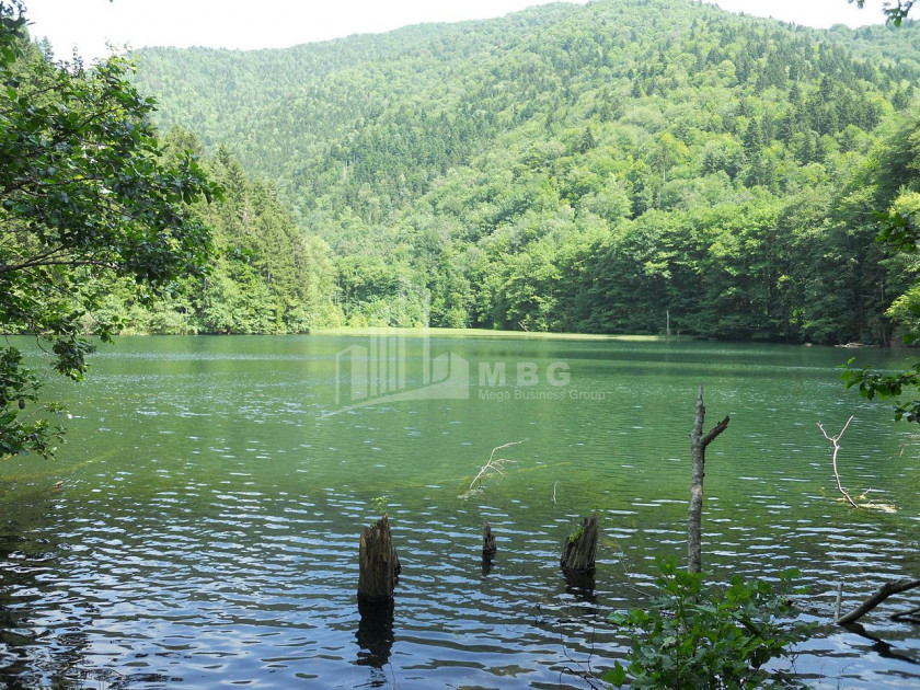 შიდა ქართლი