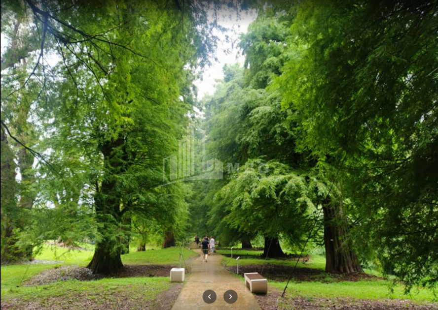 შეკვეთილი