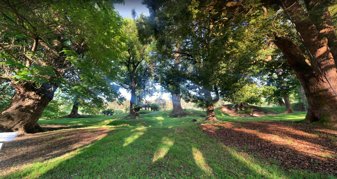 შეკვეთილი