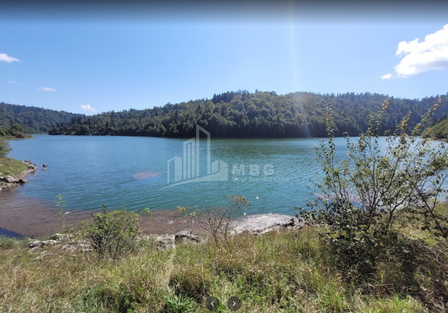 შაორის ტბა