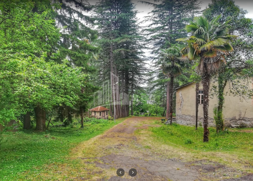 შეკვეთილი