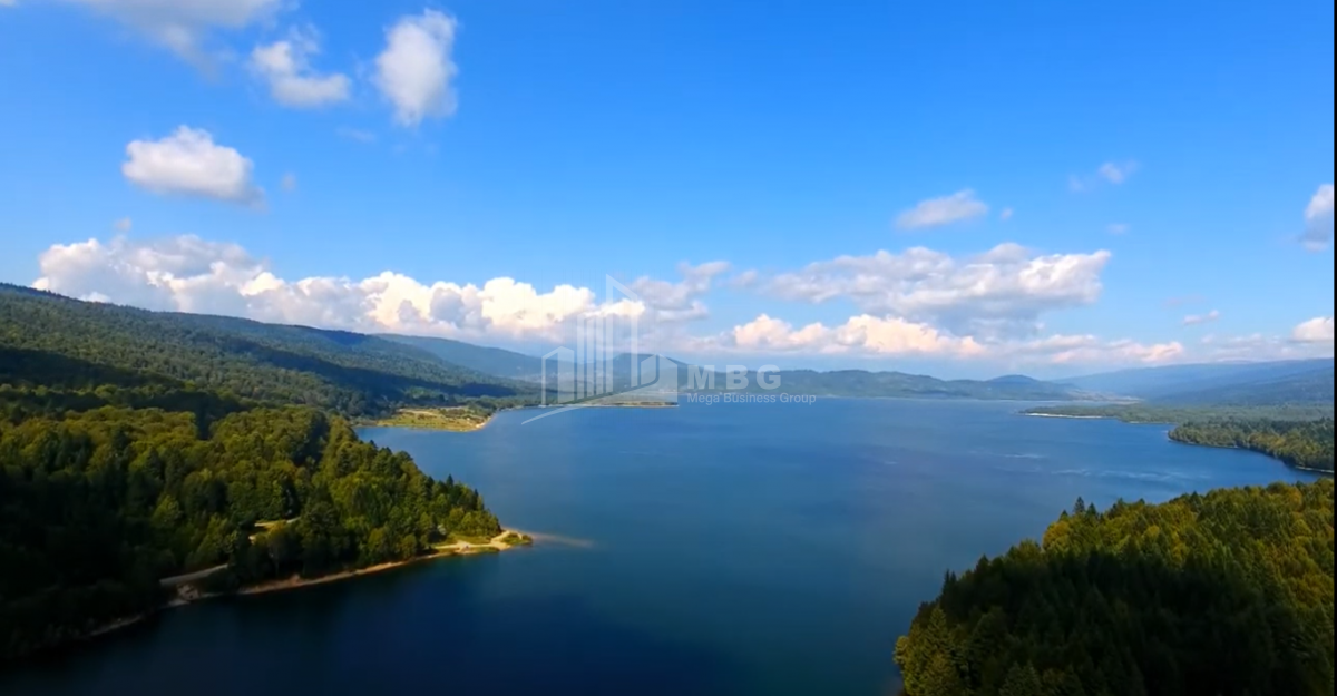 შაორის ტბა