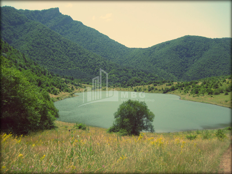 შიდა ქართლი