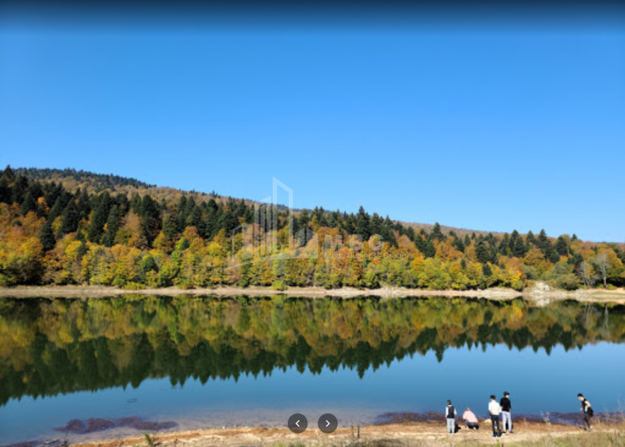 შაორის ტბა