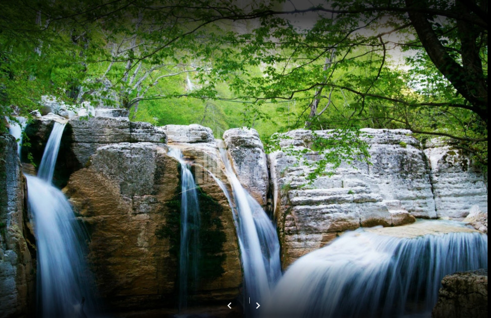 იმერეთი