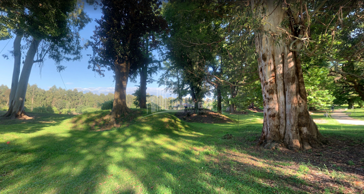 შეკვეთილი