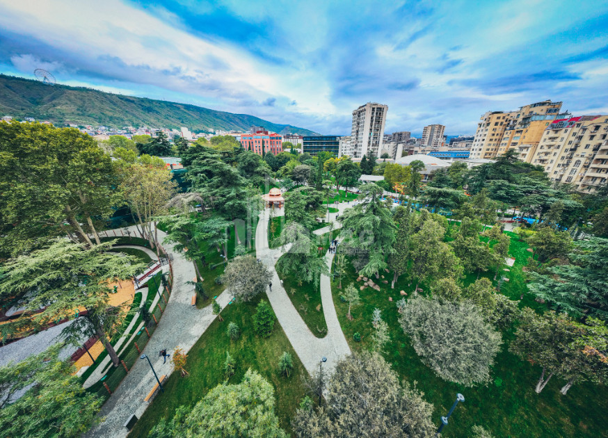 თბილისი