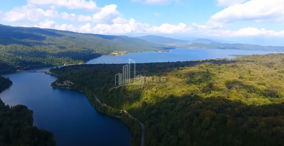 შაორის ტბა