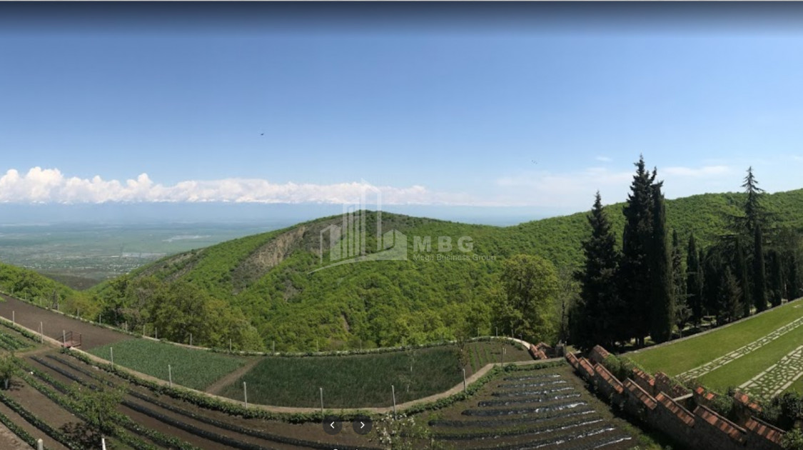 Кахетинский район, село Сигнахи