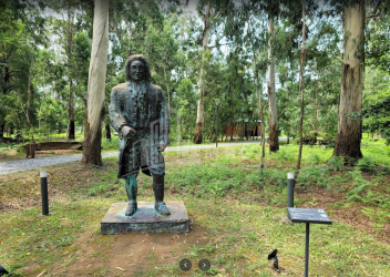 შეკვეთილი