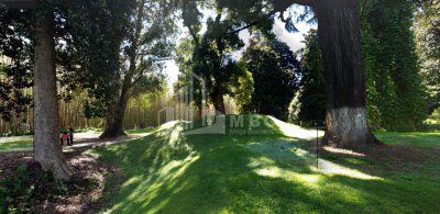 შეკვეთილი