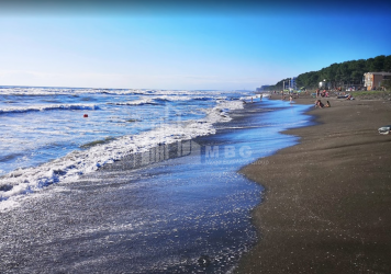 შეკვეთილი