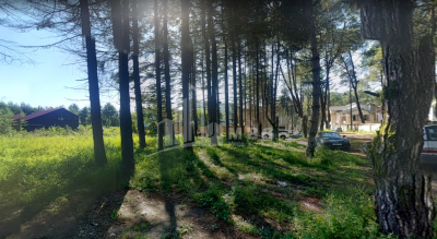 შეკვეთილი