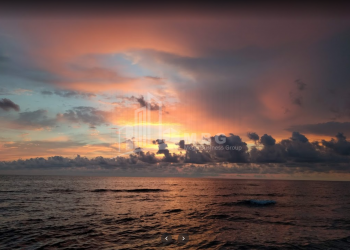 შეკვეთილი