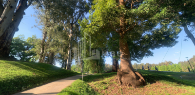 შეკვეთილი