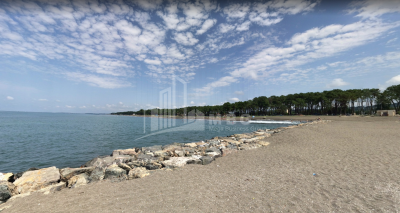 შეკვეთილი