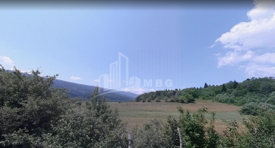 შაორის ტბა