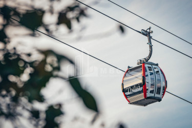 თბილისი