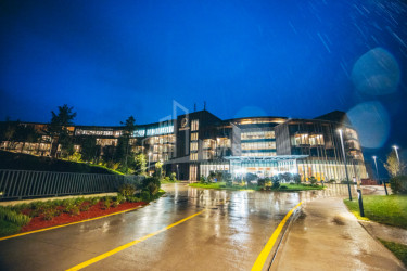 თბილისი