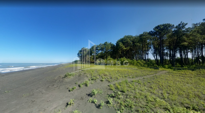 შეკვეთილი