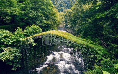 იმერეთი