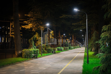 თბილისი