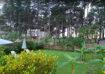 შეკვეთილი